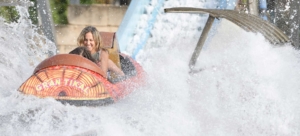 newsletter parque de atracciones