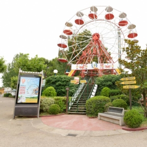 pases anuales parque