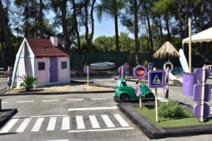 Ruta 50