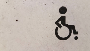 parque de atracciones accesibilidad