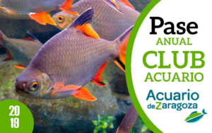 pase anual acuario de zaragoza