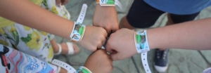 pulseras parque de atracciones