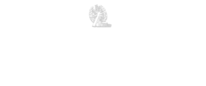 navidad parque atracciones